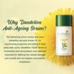 DandelioanYouthAnti-AgeingSerum40ml-1