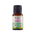 Organic Spanish Rosemary Essential Oil for Aromatherapy and Wellness
