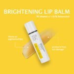 SummerEssentialKit-1