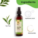 tea-tree-purifying-toner-467256-1